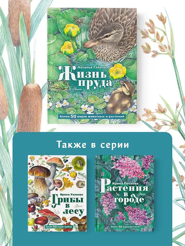 Книга Жизнь пруда (Наталья Габеева) — 7