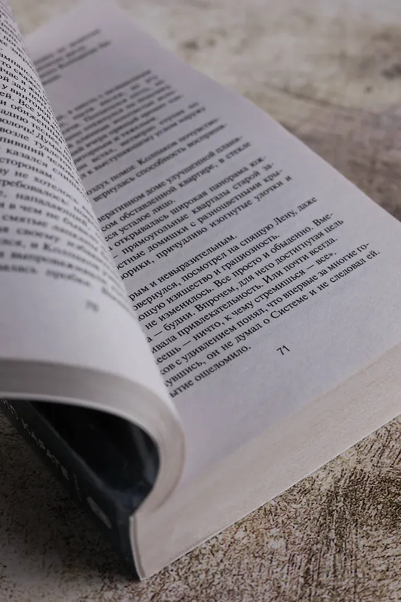 Книга Принцип карате (Данил Корецкий) — 9