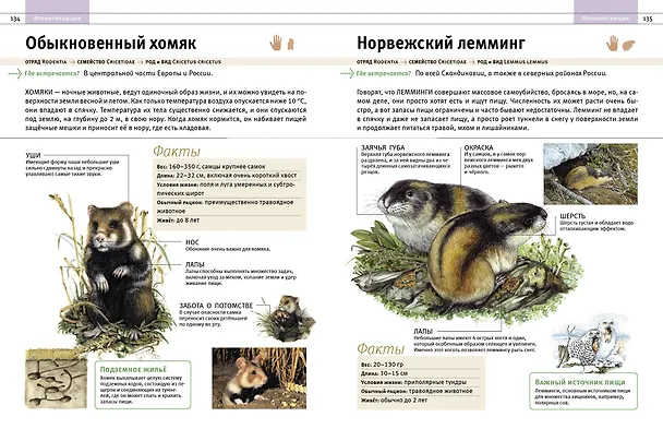 Книга Животные. Все обитатели нашей планеты (Дэвид Элдертон) — 9