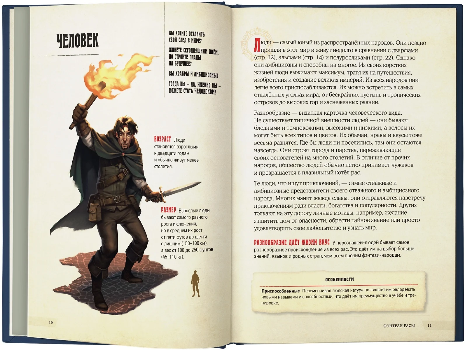 Dungeons & Dragons. Герои и их снаряжение (Джим Заб) - купить книгу с  доставкой в интернет-магазине «Читай-город». ISBN: 978-5-17-120086-2