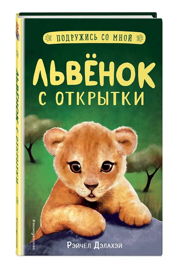Книга Львенок с открытки (Рэйчел Дэлахэй) — 4