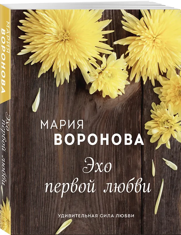 Книга Эхо первой любви (Мария Воронова) — 4