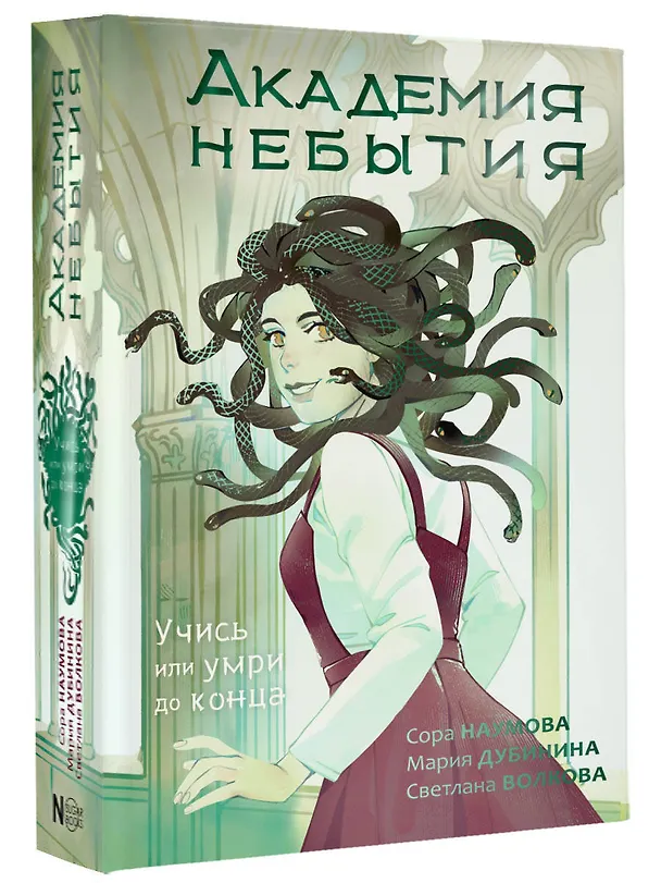 Книга Академия небытия. Учись или умри до конца (Сора Наумова, Светлана Волкова, Мария Дубинина) — 4