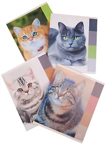 Тетрадь в клетку Unnika, "Кошачьи взгляды", 48 листов, в ассортименте