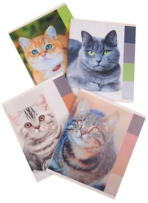 Тетрадь в клетку Unnika, "Кошачьи взгляды", 48 листов, в ассортименте 243811