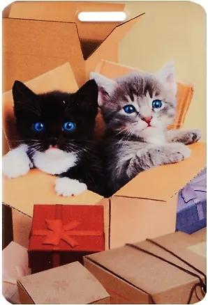 Чехол для карточек Котята в коробке 2509089