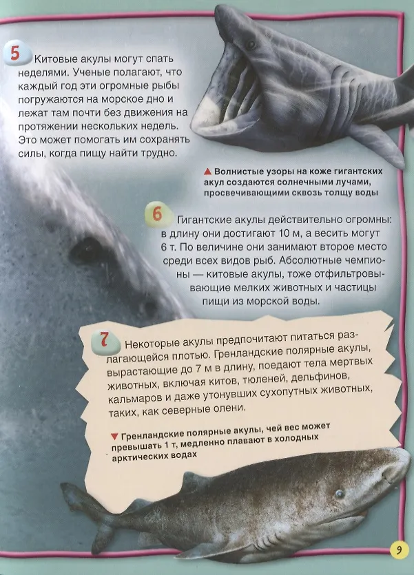 Книга Акулы (Стив Паркер) — 4
