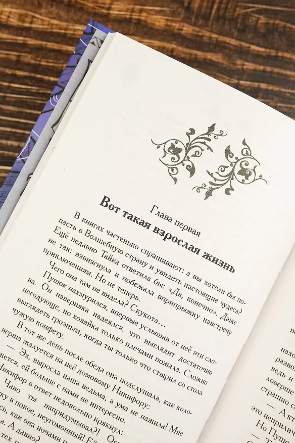 Книга Пути Дивнозёрья (Алан Чароит) — 14