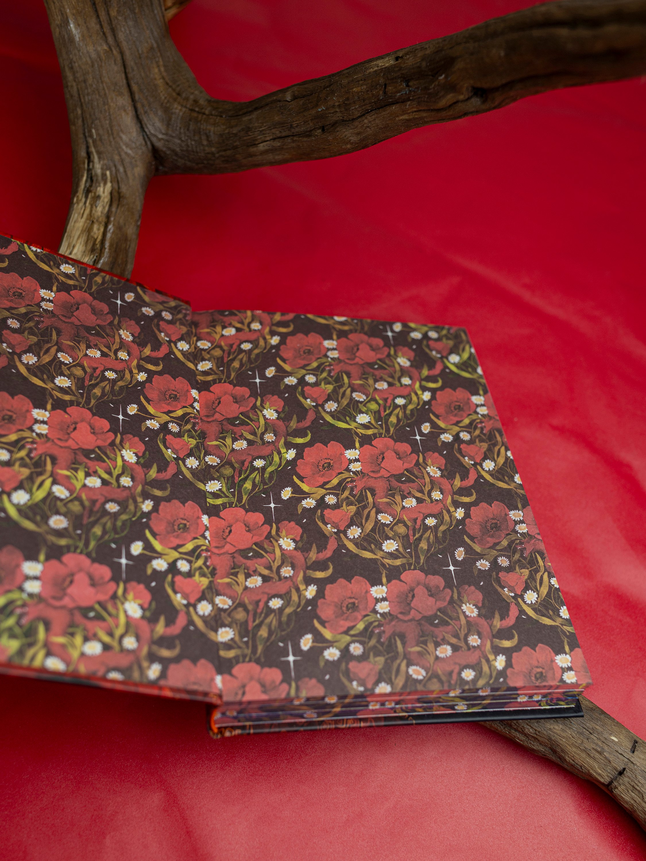 Изображение бумажной книги