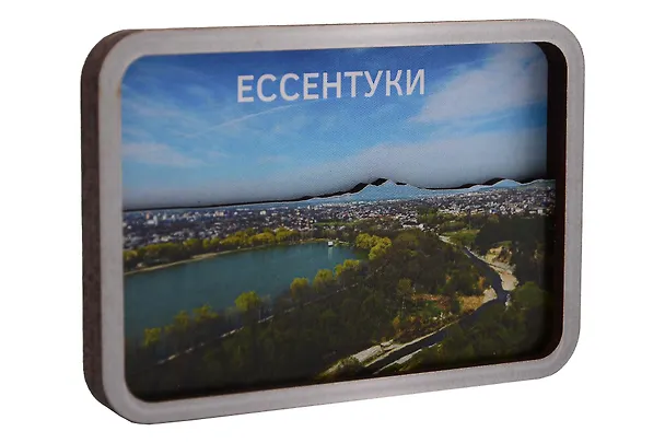 Сувенирный магнит Ессентуки озеро (дерево) (ЕЕо1) 3134473 — 2