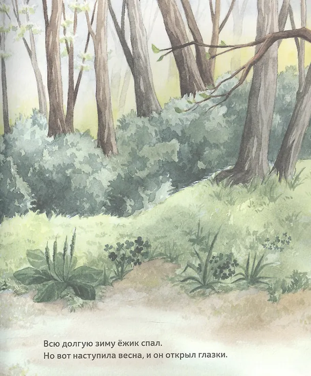 Книга Подарок для тебя (Макико Тоёфуку) — 2
