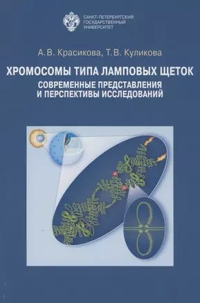 Хромосомы типа ламповых щеток: современные представления и перспективы исследований — 2858527 — 1