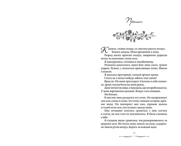 Книга Королева роз (#1) (Брайер Болейн) — 6