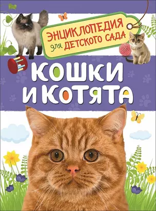 Кошки и котята. Энциклопедия для детского сада — 2651372 — 1