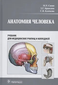 Анатомия человека. Учебник для медицинских училищ и колледжей