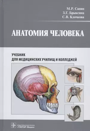 Анатомия человека. Учебник для медицинских училищ и колледжей — 2742270 — 1