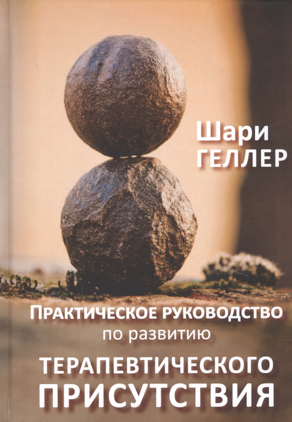 

Практическое руководство к развитию терапевтического присутствия