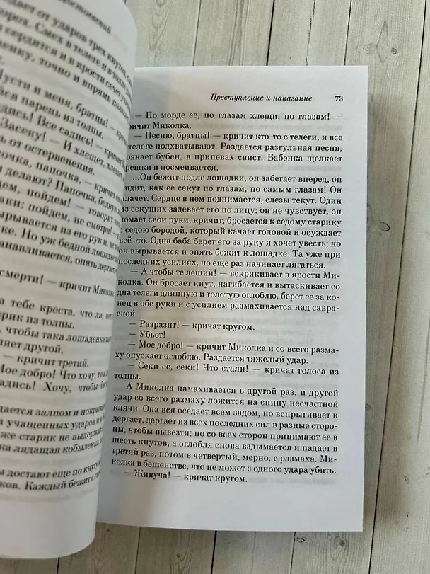 Книга Преступление и наказание (Федор Достоевский) — 6