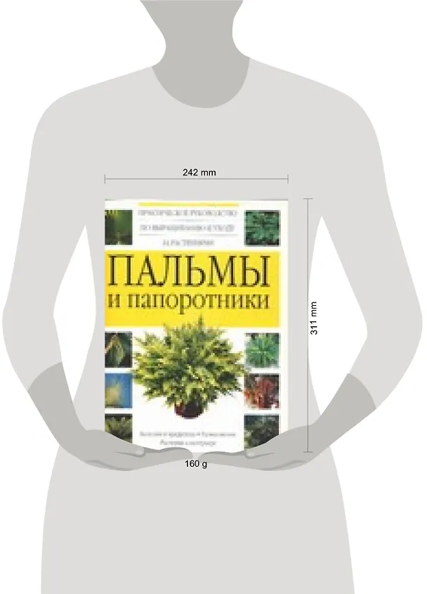Книга Пальмы и папоротники (Елена Бухарина) — 2