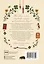Твоя волшебная сила. 40 ритуалов, чтобы наполнить жизнь чудесами — 2867942 — 2