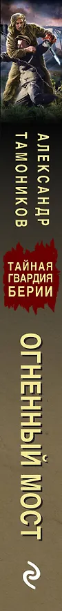 Книга Огненный мост (Александр Тамоников) — 3