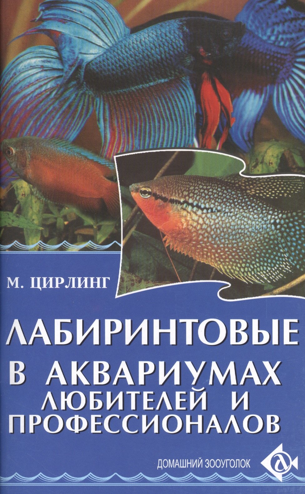 

Лабиринтовые в аквариумах любителей и профессионалов.