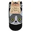 Носки Hello Socks Котики и лапки (36-39) (текстиль) (12-30495-116) — 2884452 — 1