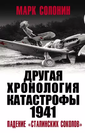 ДРУГАЯ хронология катастрофы 1941. Падение «сталинских соколов» — 2814275 — 1