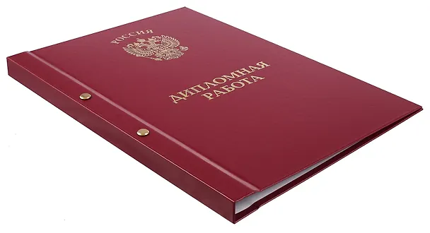Обложка "Дипломный проект" ассорти, 2 отверстия, бумвинил 3101356 — 3