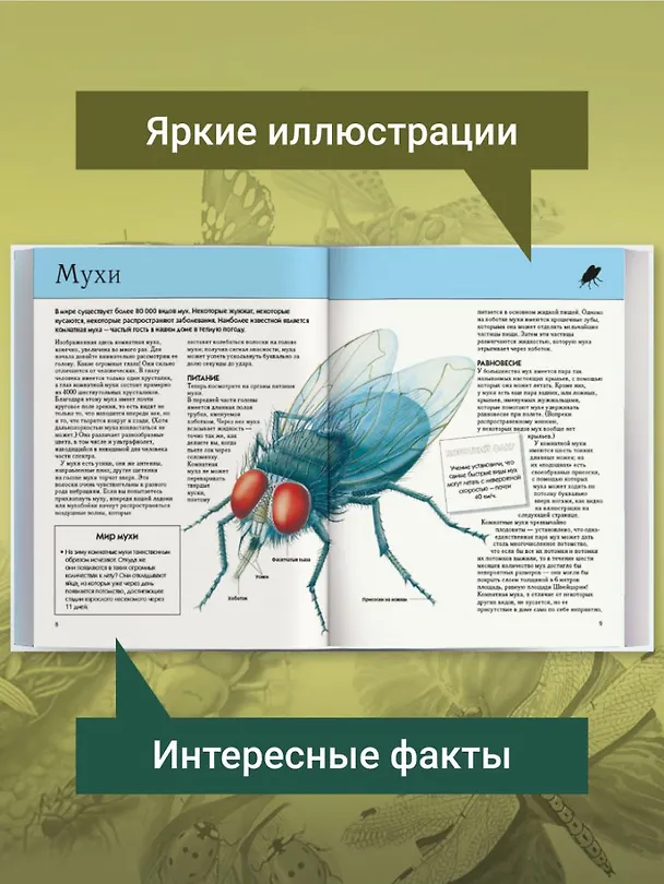 Книга Насекомые. Полная энциклопедия (мел.) (Тамара Грин) — 8