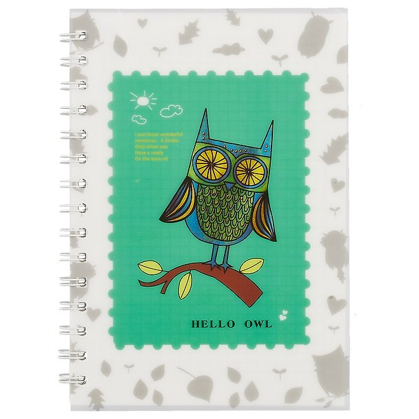 Тетрадь общая «Hello Owl», 80 листов в клетку, А5, в ассортименте - Hai Bin 245091 — 1
