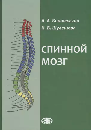 Спинной мозг: клинические и патофизиологические сопоставления. ил — 2659994 — 1