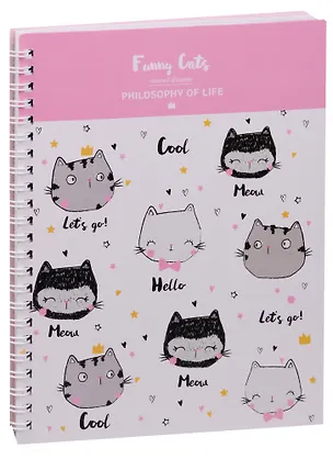 Тетрадь в клетку Be Smart, Funny cats, 96 листов 243800