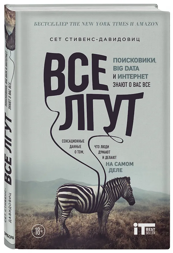 Книга Все лгут. Поисковики, Big Data и Интернет знают о вас все (Cет Cтивенс-Давидовиц) — 4