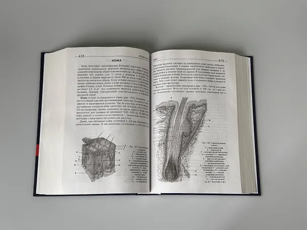 Книга Биология для поступающих в вузы (Елена Зигалова, Габриэль Билич) — 15