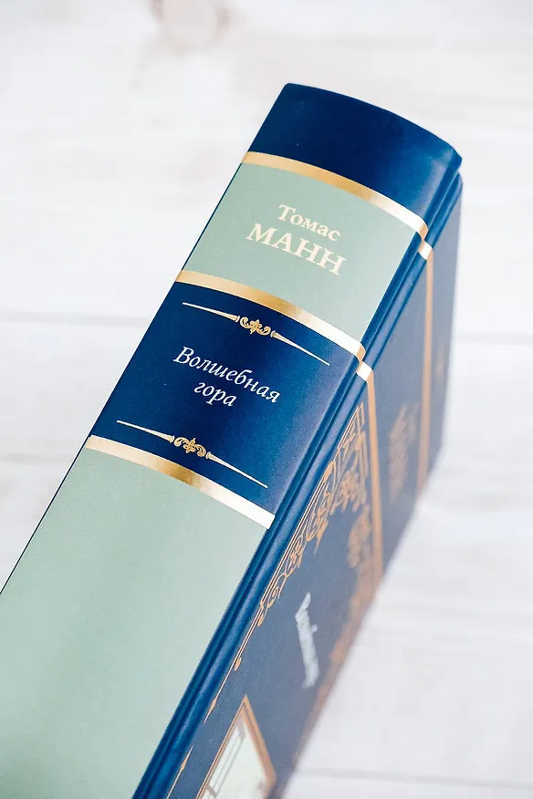 Книга Волшебная гора (Томас Манн) — 11