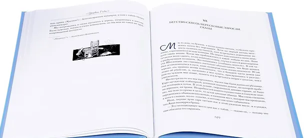 Книга Похищенный () — 3