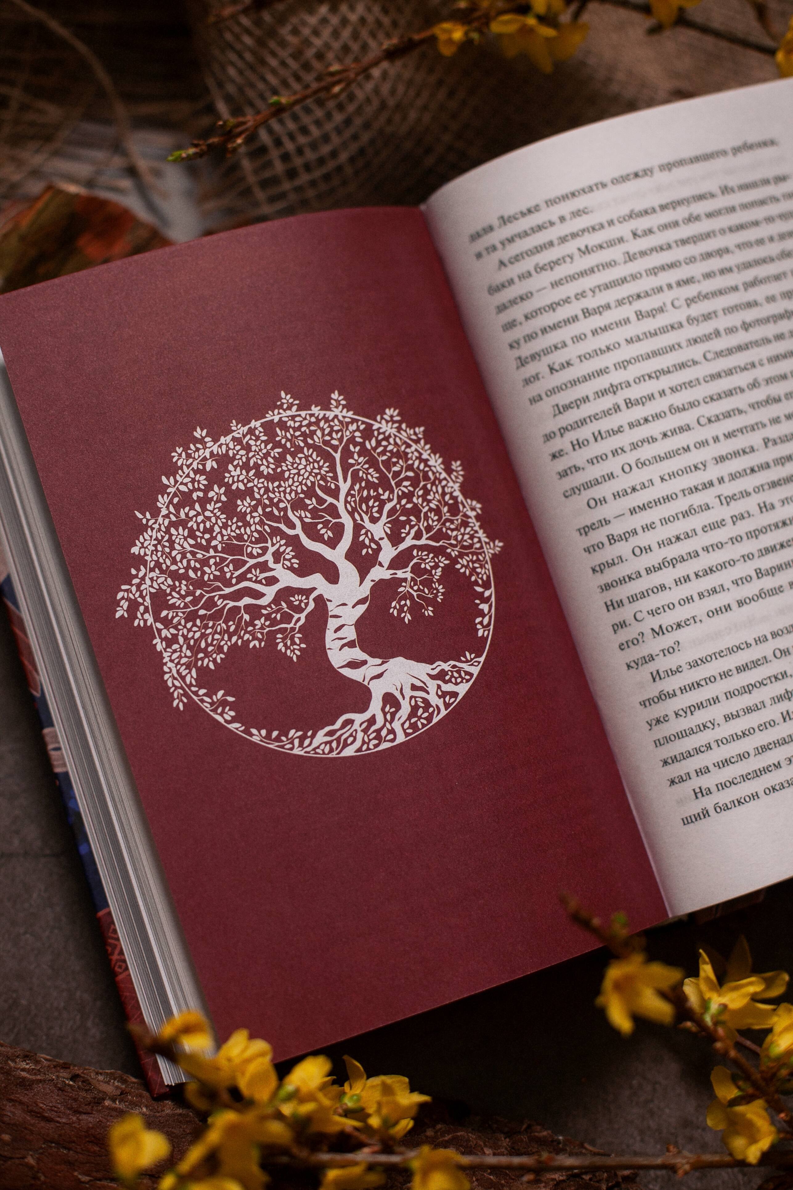 Изображение бумажной книги