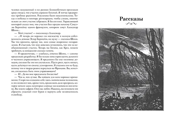 Книга Похитители бриллиантов (Луи Анри Буссенар) — 8