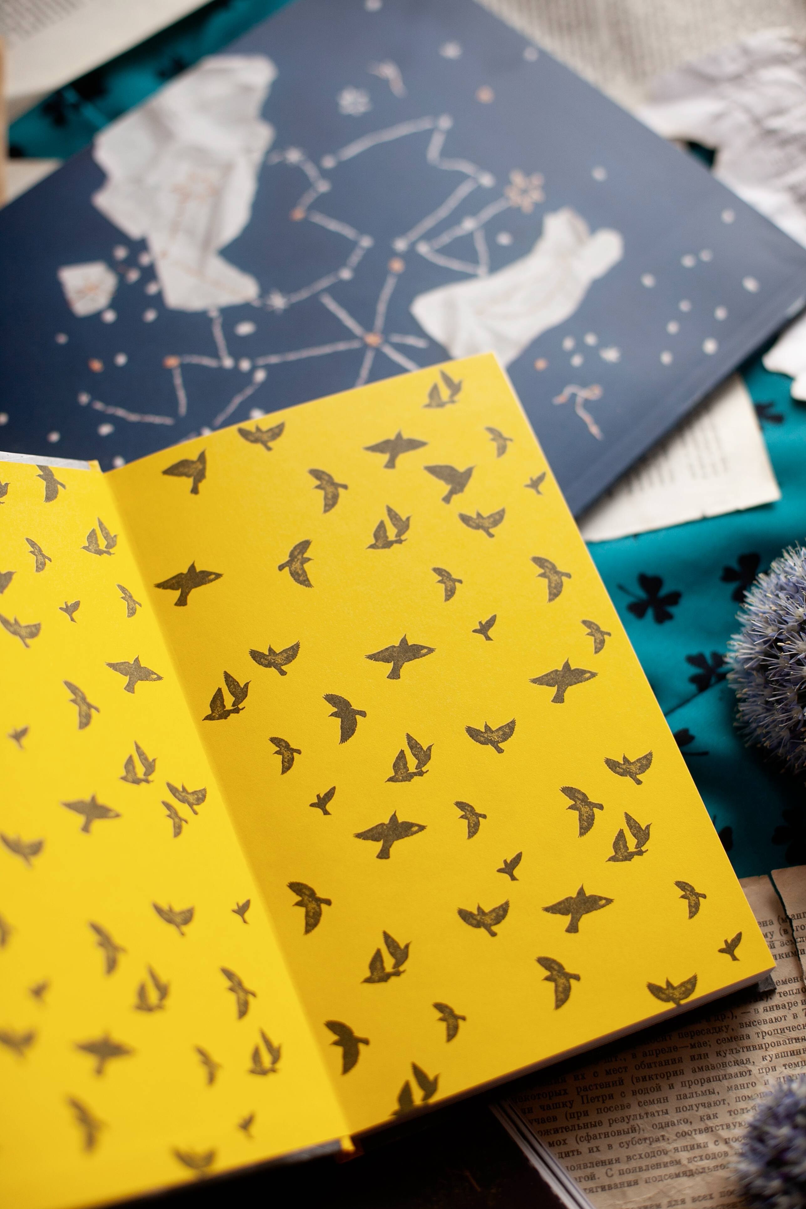 Изображение бумажной книги