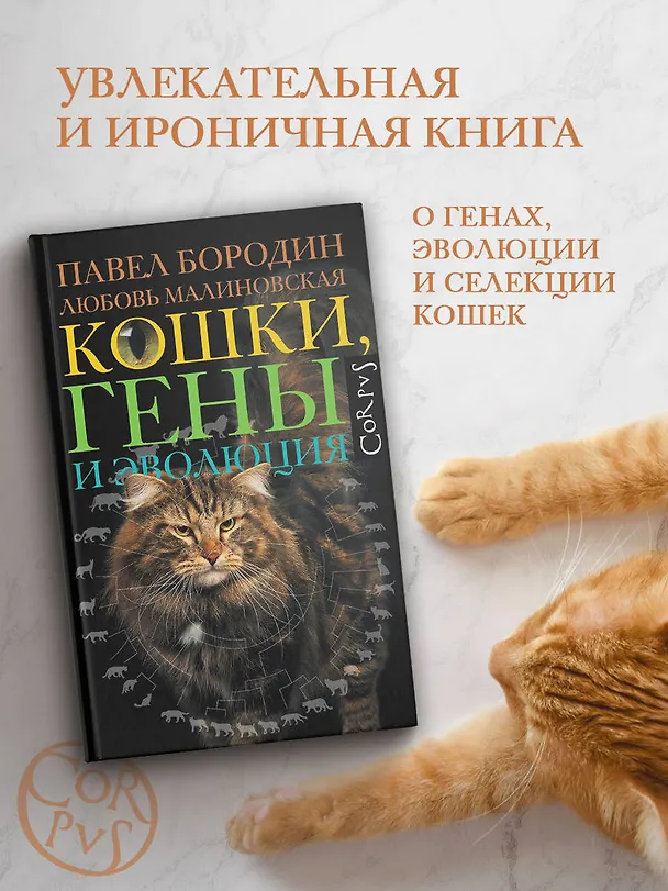 Книга Кошки, гены и эволюция (Павел Бородин, Любовь Малиновская) — 5