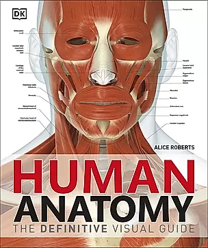 Human Anatomy — 2890956 — 1