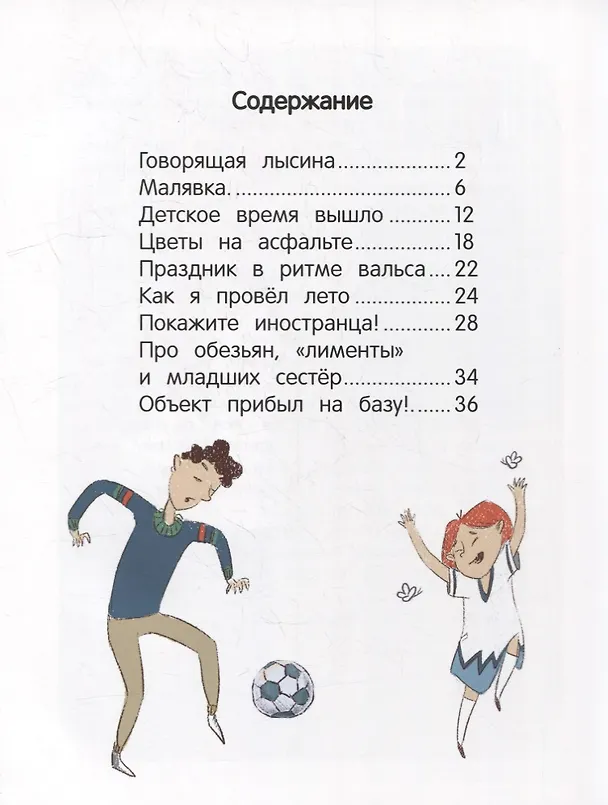 Книга Иностранец Бубка (Наталья Шицкая) — 6