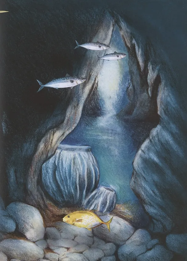Книга Чудо природы. История морской губки (Нинон Амманн) — 3