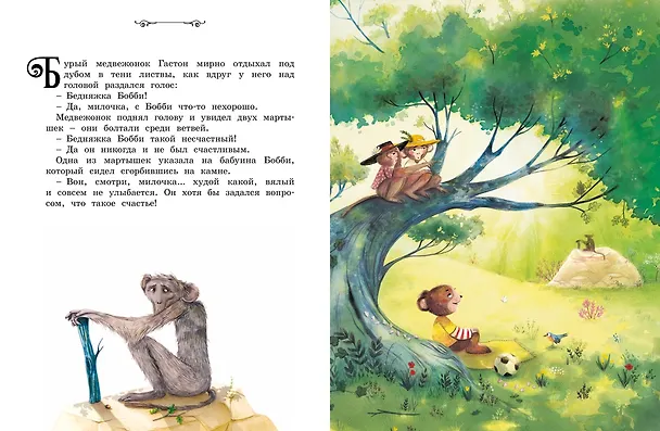 Книга Медвежонок, который хотел быть счастливым. Сказки премудрой совы (Эрик-Эмманюэль Шмитт) — 5
