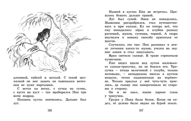 Книга Лесные сказки и рассказы (иллюстр. Е. Рачёва) (Виталий Бианки) — 5