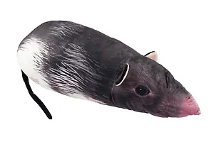 Мягкая игрушка Крыса (70 см) (19.18.3)