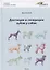 Дентиция и генерации зубов у собак — 2799266 — 1
