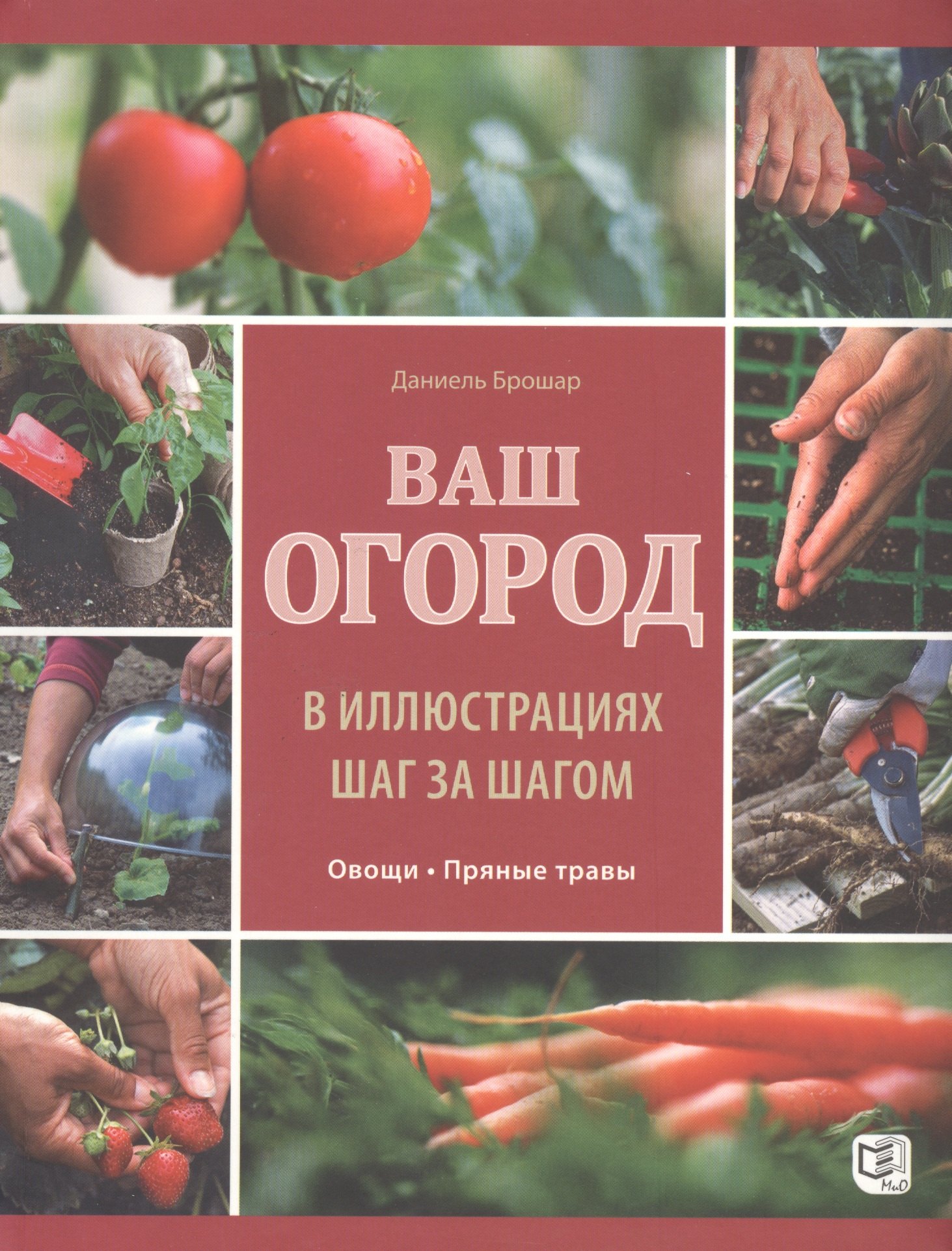 

Ваш огород в иллюстрациях шаг за шагом. Овощи. Пряные травы