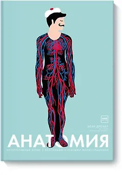 Анатомия